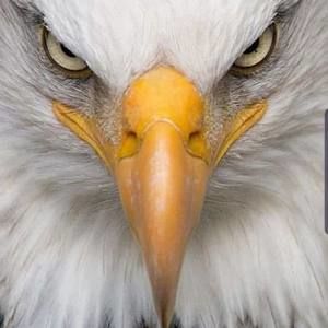 Meet your Posher, Larry